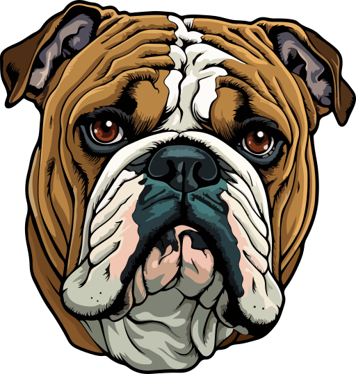 Bulldog