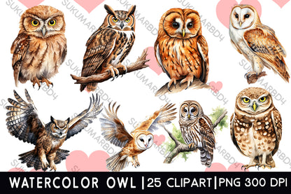 watercolor owl clipart