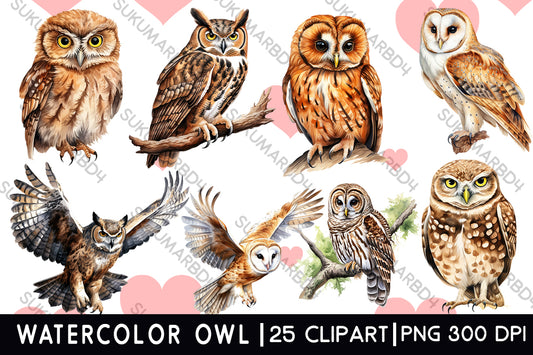 watercolor owl clipart