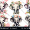 Watercolor Baby elephant clipart (1)