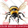 watercolor bees clipart